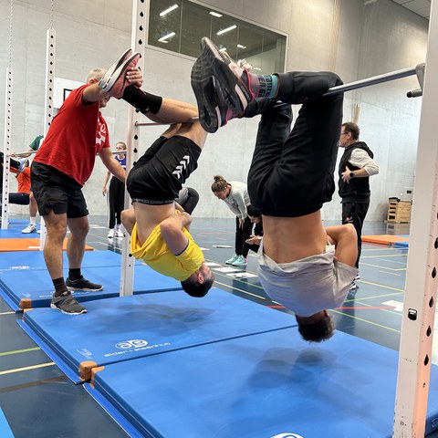 Bewegte Akrobatik. Vergrösserte Ansicht