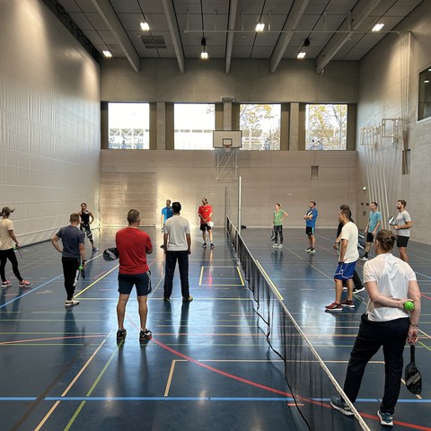 Pickle Ball. Vergrösserte Ansicht