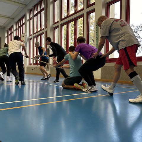 Schlag den Star. Vergrösserte Ansicht