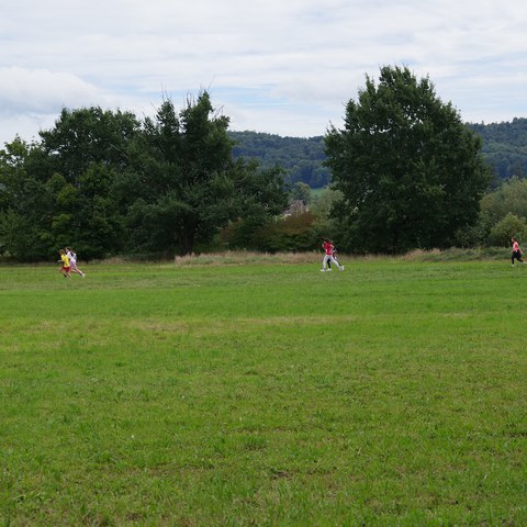 Auf der Strecke. Vergrösserte Ansicht