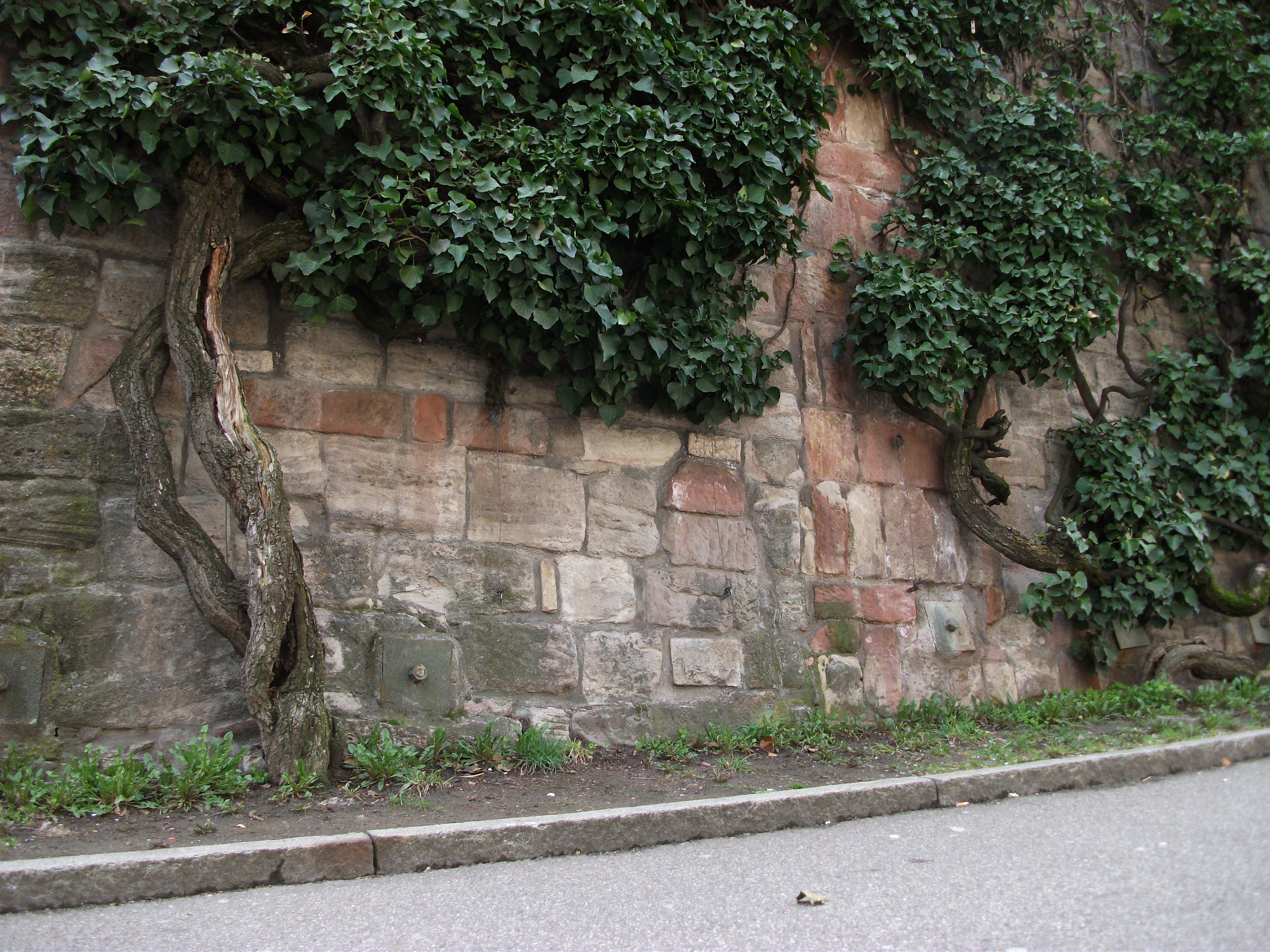 Entlang der ehemaligen Stadtmauer - Kohlenberg 3 - Foto von Franz König