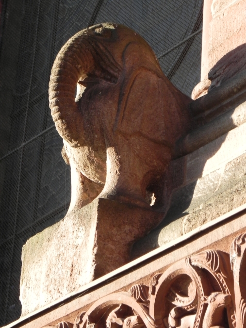 Münster Elefant - Foto von Franz König