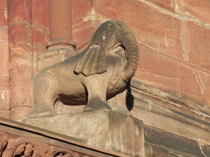 Münster Elefant 2 - Foto von Franz König